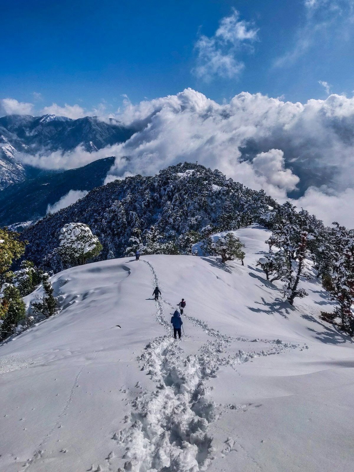 Leh